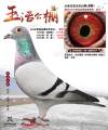 图片暂时未上传