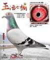 图片暂时未上传