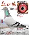 图片暂时未上传