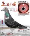 图片暂时未上传