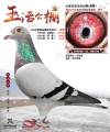 图片暂时未上传