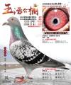 图片暂时未上传
