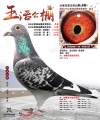 图片暂时未上传