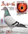 图片暂时未上传