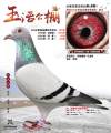 图片暂时未上传