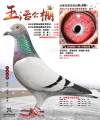 图片暂时未上传