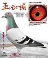 图片暂时未上传