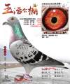 图片暂时未上传