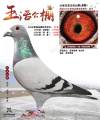 图片暂时未上传