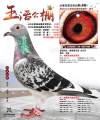 图片暂时未上传