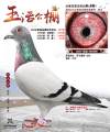 图片暂时未上传