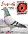 图片暂时未上传
