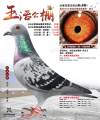 图片暂时未上传
