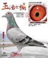图片暂时未上传