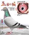 图片暂时未上传