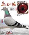 图片暂时未上传
