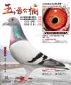图片暂时未上传