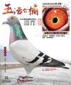 图片暂时未上传
