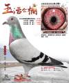 图片暂时未上传