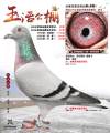 图片暂时未上传