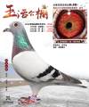 图片暂时未上传