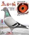 图片暂时未上传
