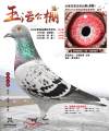 图片暂时未上传