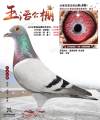 图片暂时未上传