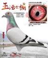 图片暂时未上传