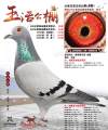 图片暂时未上传