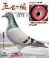 图片暂时未上传