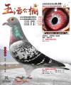 图片暂时未上传