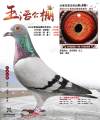 图片暂时未上传