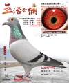 图片暂时未上传