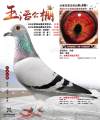图片暂时未上传