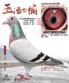 图片暂时未上传