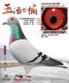图片暂时未上传