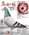 图片暂时未上传