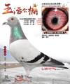 图片暂时未上传