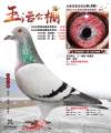 图片暂时未上传