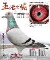 图片暂时未上传