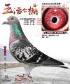 图片暂时未上传