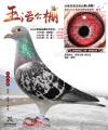 图片暂时未上传