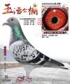 图片暂时未上传