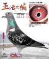 图片暂时未上传