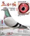 图片暂时未上传
