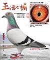 图片暂时未上传