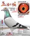 图片暂时未上传