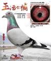 图片暂时未上传