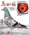 图片暂时未上传